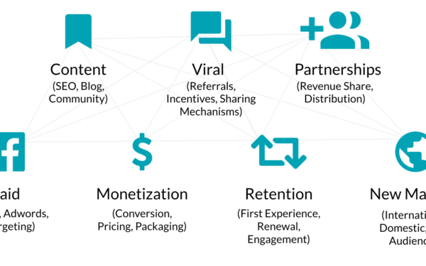 Connecting growth levers with a growth model